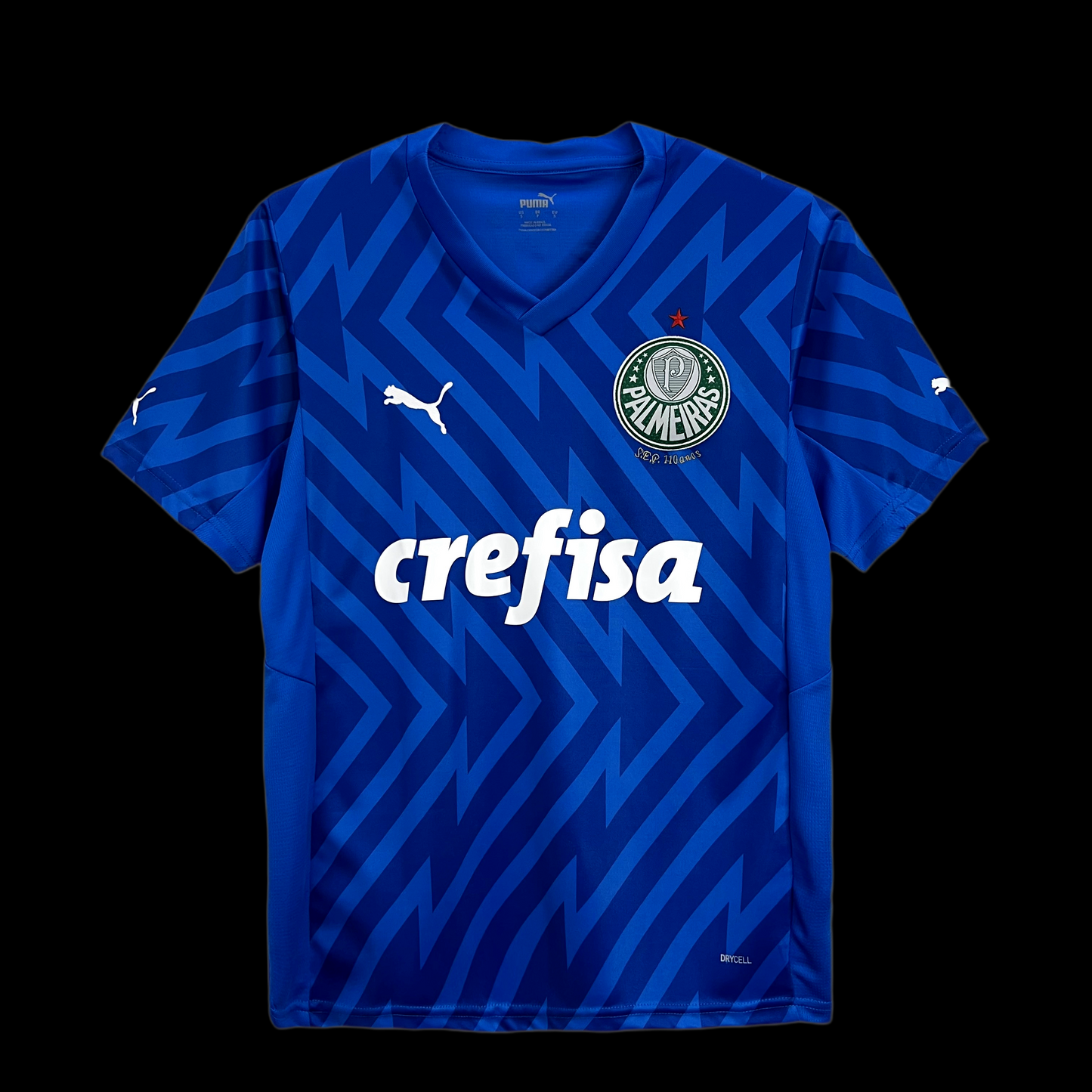 24-25 Palmeiras Dark Blue Goalkeeper