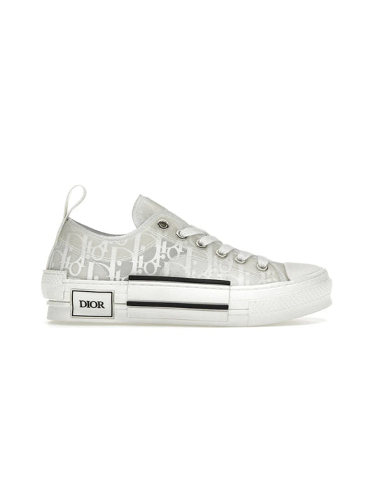 Dior B23 Low Top