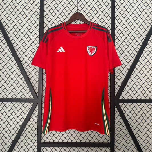 2024 Wales home red soccer jersey